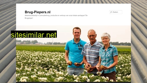 brug-piepers.nl alternative sites