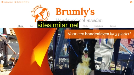 brumlys.nl alternative sites