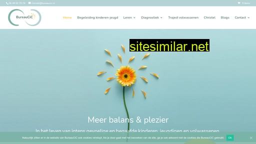 bureaucic.nl alternative sites