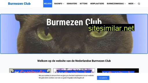 Burmezenclub similar sites