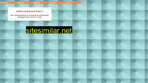 businessshake.nl alternative sites