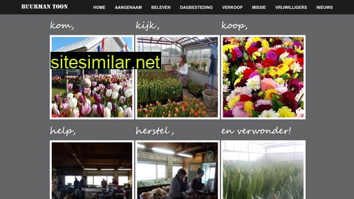 buurmantoon.nl alternative sites
