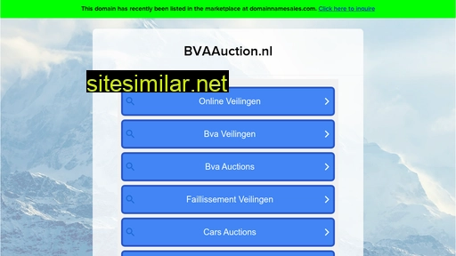 bvaauction.nl alternative sites