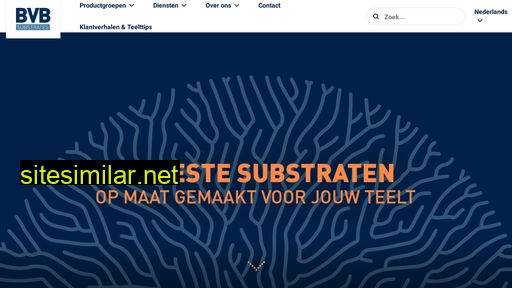 bvb-substrates.nl alternative sites