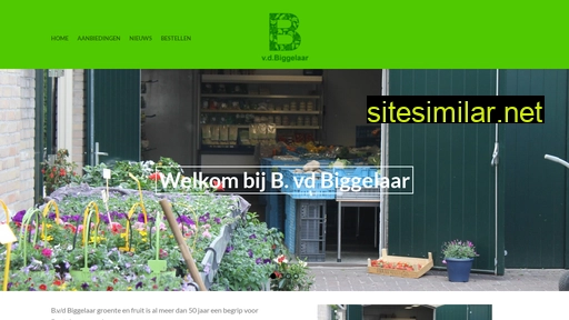 bvdbiggelaar.nl alternative sites