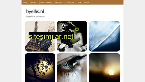 byellis.nl alternative sites