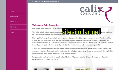 calixconsulting.nl alternative sites