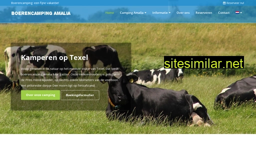 camping-amaliatexel.nl alternative sites