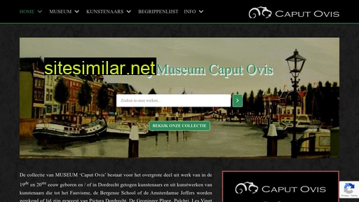 caputovis.nl alternative sites