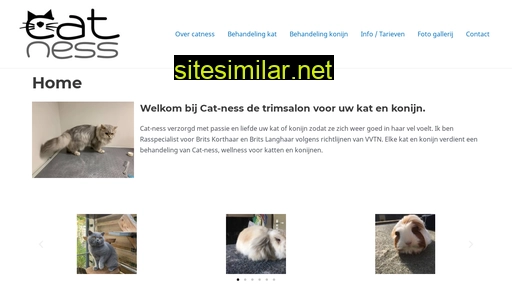 catness.nl alternative sites