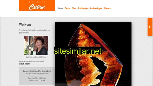 cattani.nl alternative sites