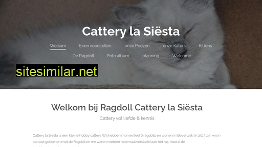 catterylasiesta.nl alternative sites