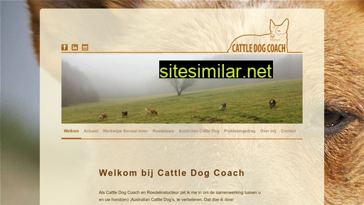 Cattledog-coach similar sites