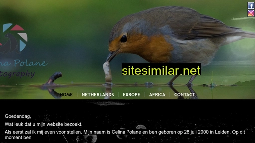 celinapolane.nl alternative sites