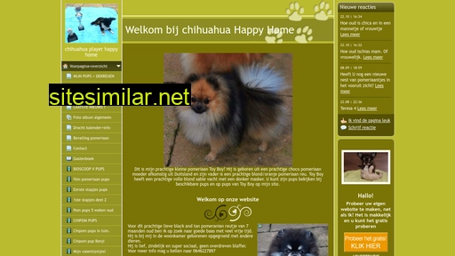 Chihuahua-player-happy-home similar sites