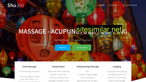 chinese-acupunctuur-haarlem.nl alternative sites