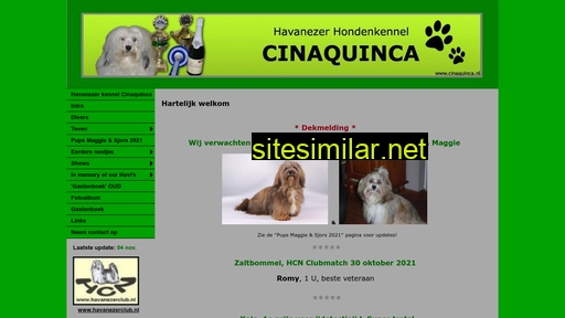 cinaquinca.nl alternative sites
