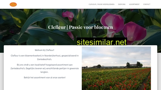 clefleur.nl alternative sites