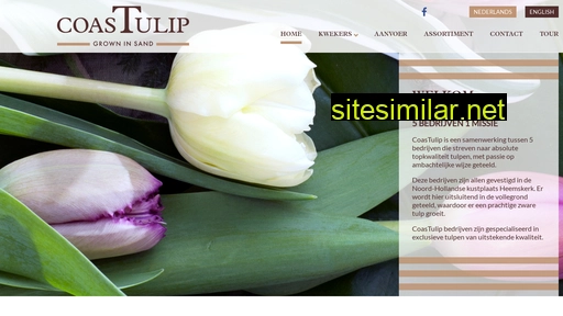 coastulip.nl alternative sites