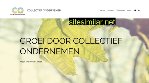 collectiefondernemen.nl alternative sites