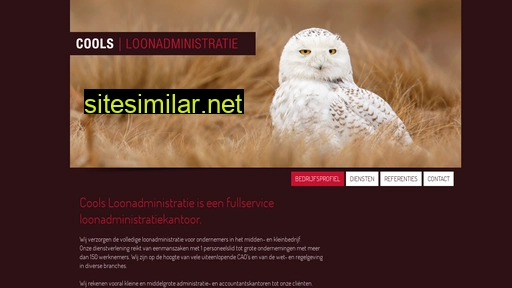 coolsloonadministratie.nl alternative sites