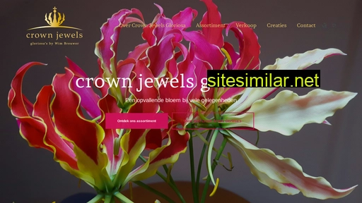 crown-jewel.nl alternative sites