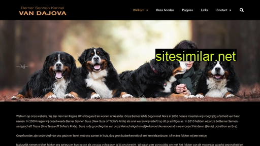 dajova.nl alternative sites
