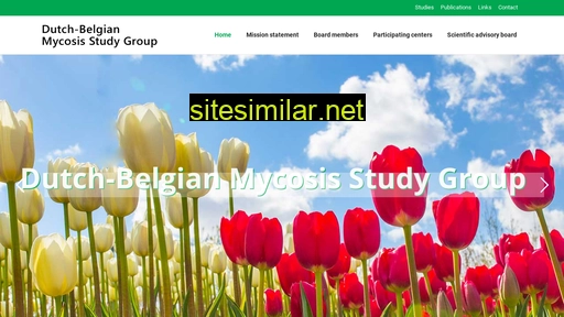 dbmsg.nl alternative sites