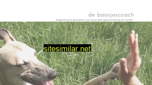debaasjescoach.nl alternative sites