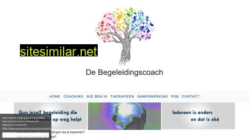 debegeleidingscoach.nl alternative sites