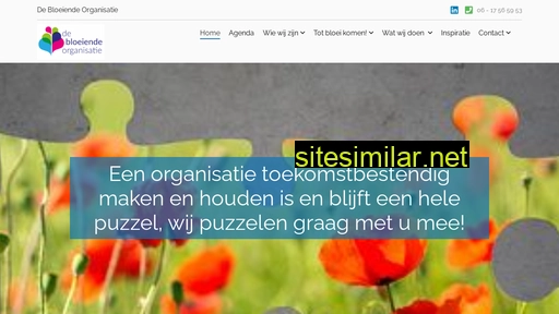 debloeiendeorganisatie.nl alternative sites