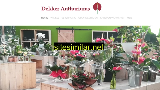 dekkeranthuriums.nl alternative sites