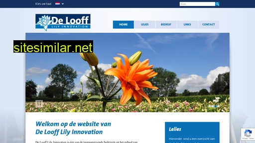 deloofflily.nl alternative sites