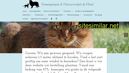 demerelkatenhond.nl alternative sites