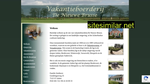 denieuwebrusse.nl alternative sites