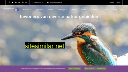 denisegielen.nl alternative sites