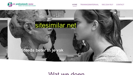 deprofessionelemens.nl alternative sites