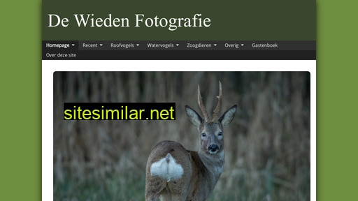 dewiedenfotografie.nl alternative sites