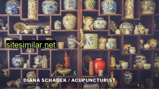 dianaschadek-acupuncturist.nl alternative sites