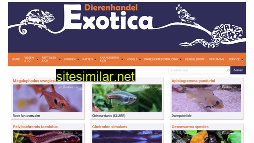 dierenhandelexotica.nl alternative sites