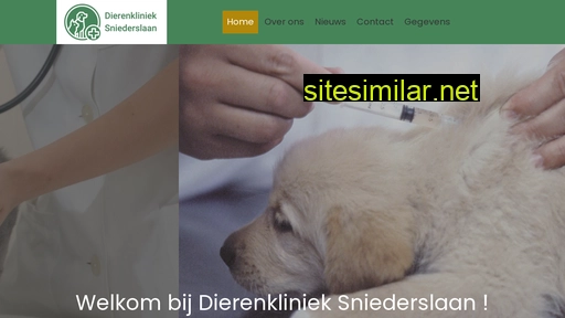 dierenklinieksniederslaan.nl alternative sites