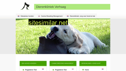 dierenkliniekverhaag.nl alternative sites