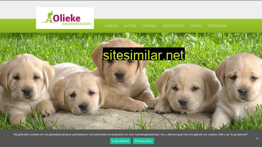 dierenpensionolieke.nl alternative sites