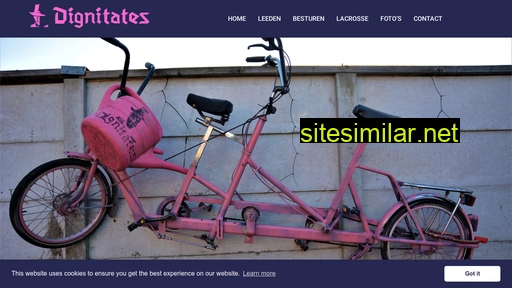 dignitates.nl alternative sites