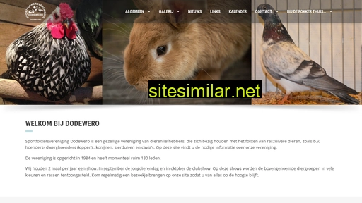 dodewero.nl alternative sites