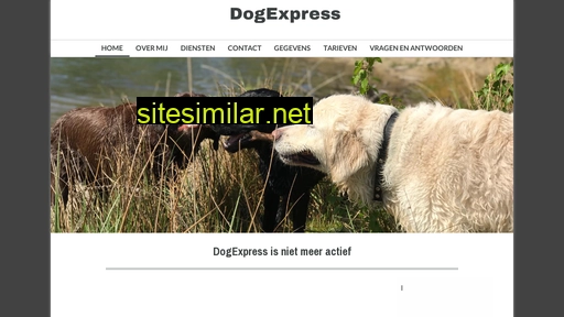 dogexpress.nl alternative sites