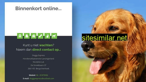 doggyexpress.nl alternative sites