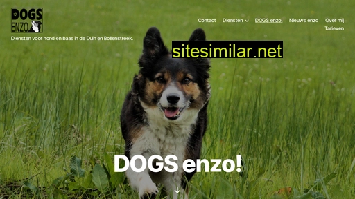 dogs-enzo.nl alternative sites
