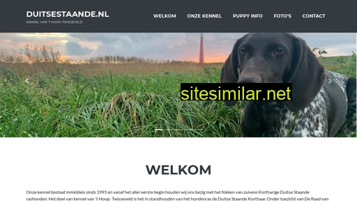 duitsestaande.nl alternative sites