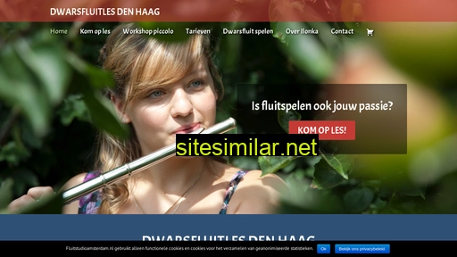 dwarsfluitlesdenhaag.nl alternative sites